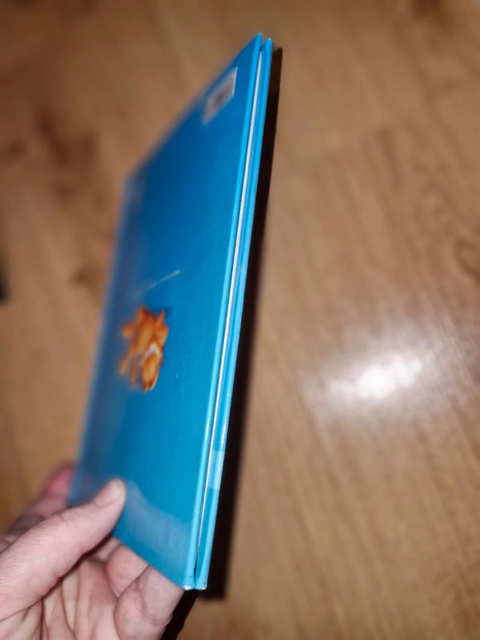 Livre Garfiled petit format - photo numéro 6