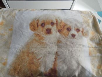 housse de couette chiens