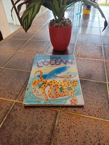 Meli mélo dans l océan