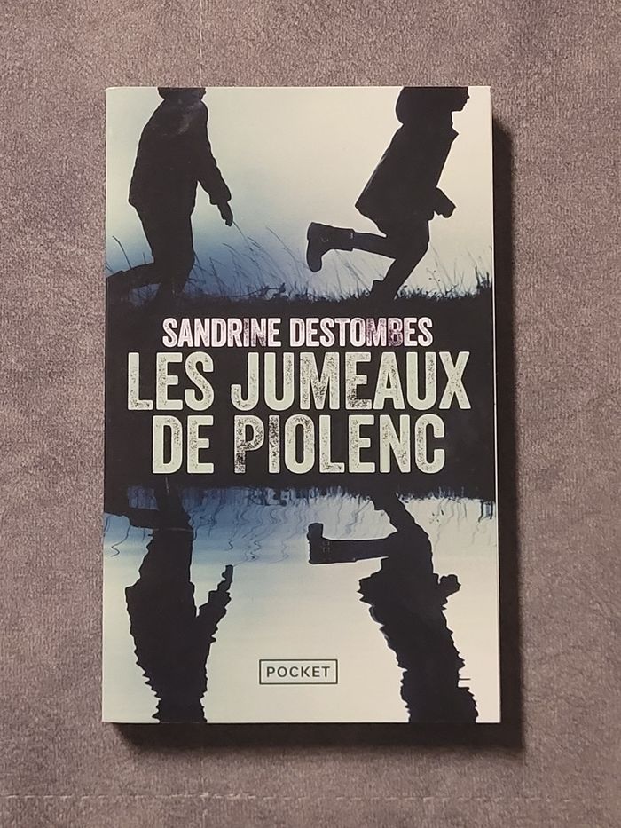 Les Jumeaux de Piolenc Sandrine Destombes - photo numéro 1