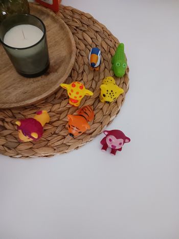 Animaux de la jungle