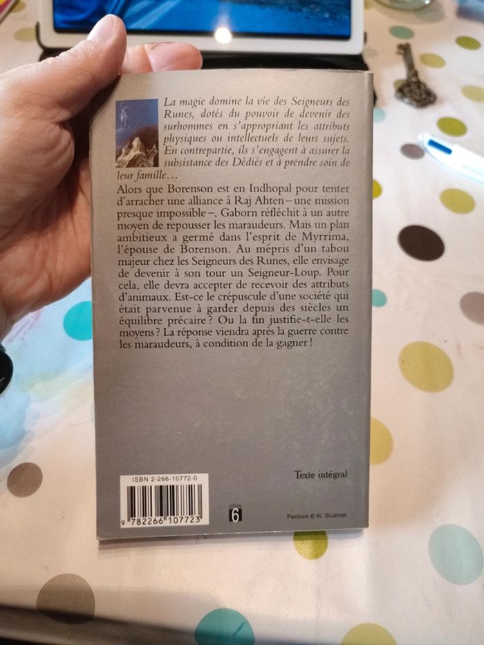 Le sceau de la désolation de David farland - photo numéro 2