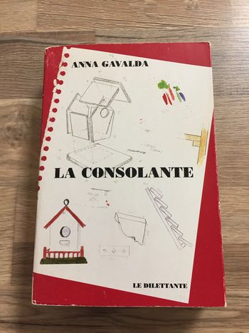 Livre Anne Gavalda-La consolante