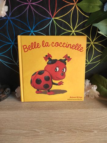 Belle la coccinelle – Drôles de Petites Bêtes – Gallimard Jeunesse