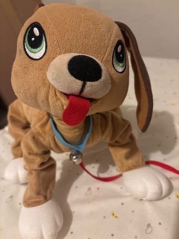 Chien à tirer