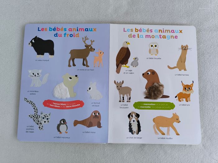 Livre Mes premiers bébés animaux à toucher Auzou - photo numéro 5