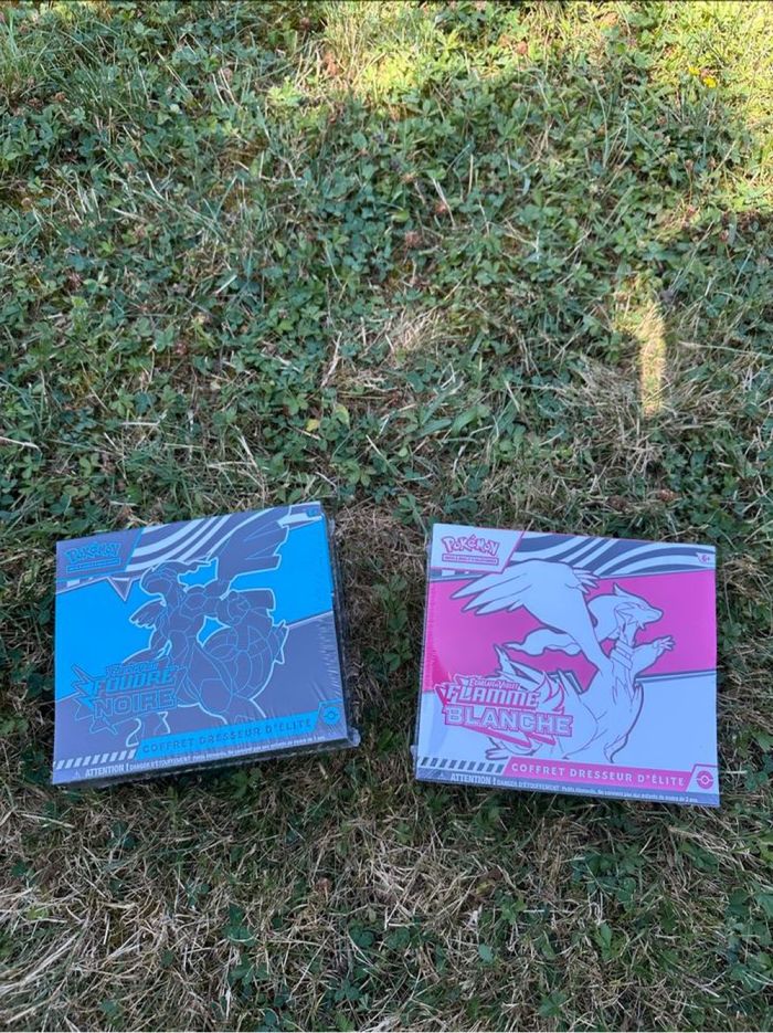 Lot 2 etb Pokémon EV10.5 – Flamme Blanche & Foudre Noire - photo numéro 5