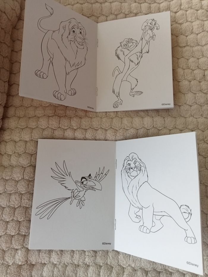 2 petit Livre de coloriage le Roi lion - photo numéro 3