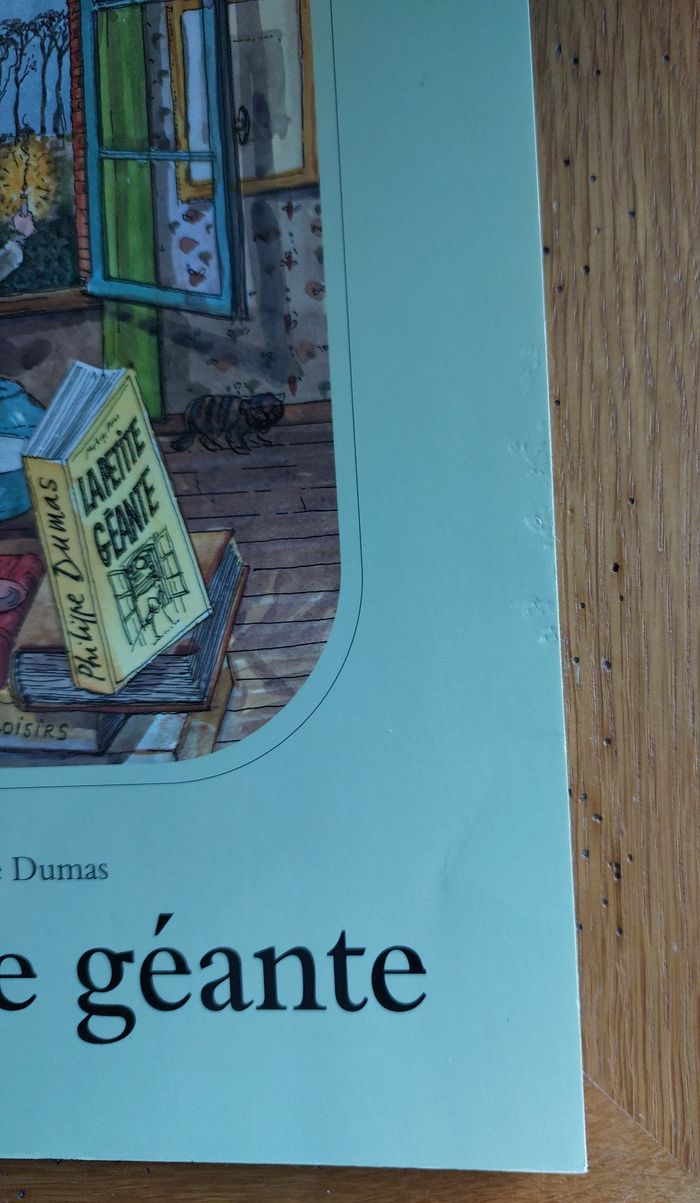 La petite géante - l'école des loisirs - photo numéro 4