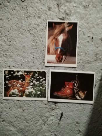 Carte postale Collection Regard