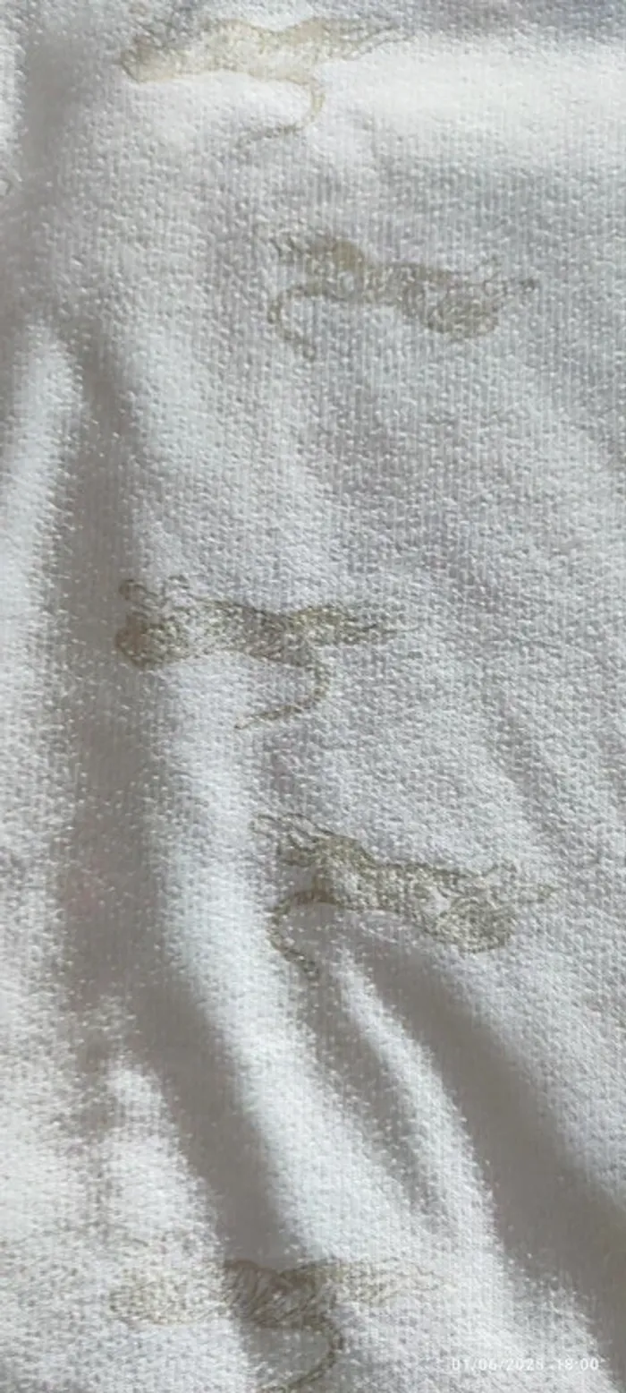 đŠ Sweat garçon 12 ans â GĂ©mo - photo numĂ©ro 2
