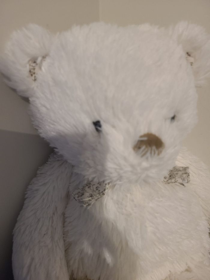 doudou ours - photo numéro 4