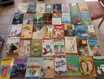 Lot de 40 livres divers (1)
