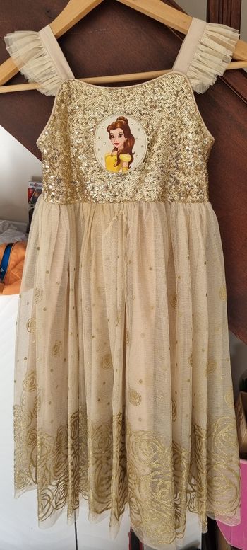 Deguisement robe la Belle et la bête