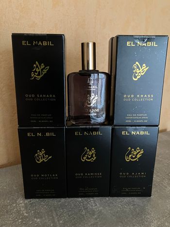 Lot de 10 parfums de poche 25ml