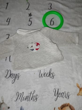 pull gris