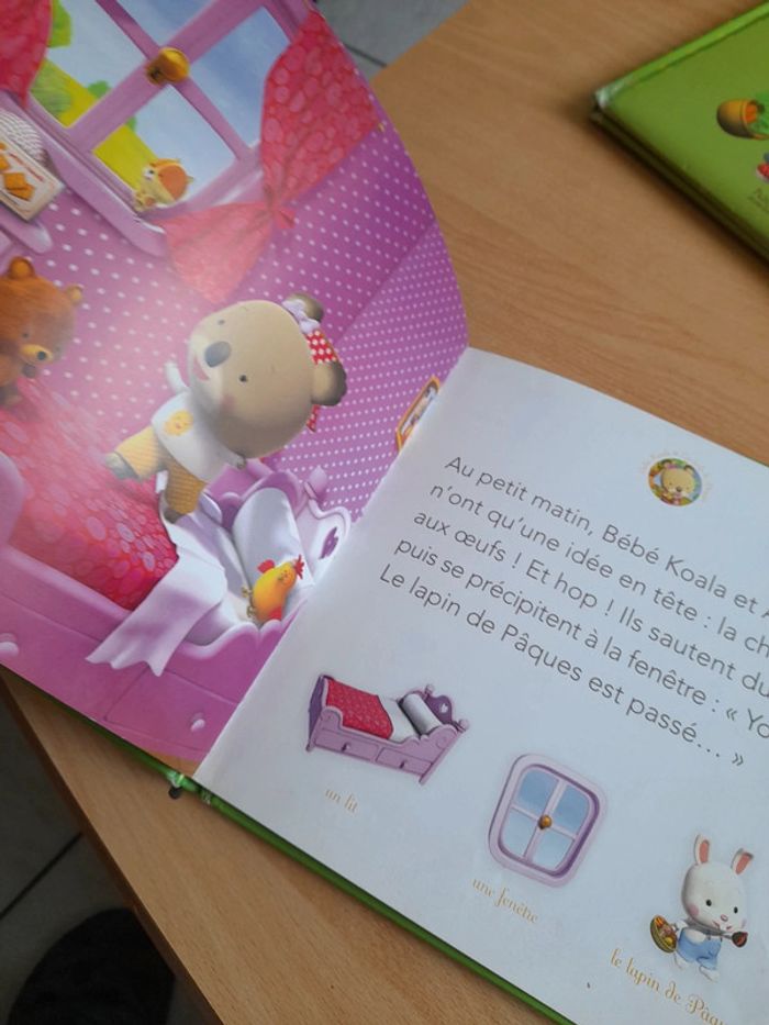 Bébé Koala - photo numéro 11