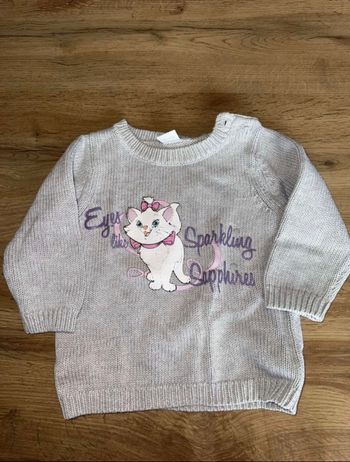 Pull les aristochat