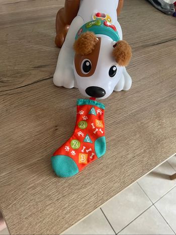 Chien rampe avec moi