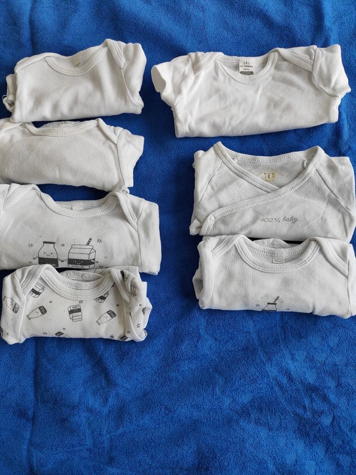 Body - photo numéro 3