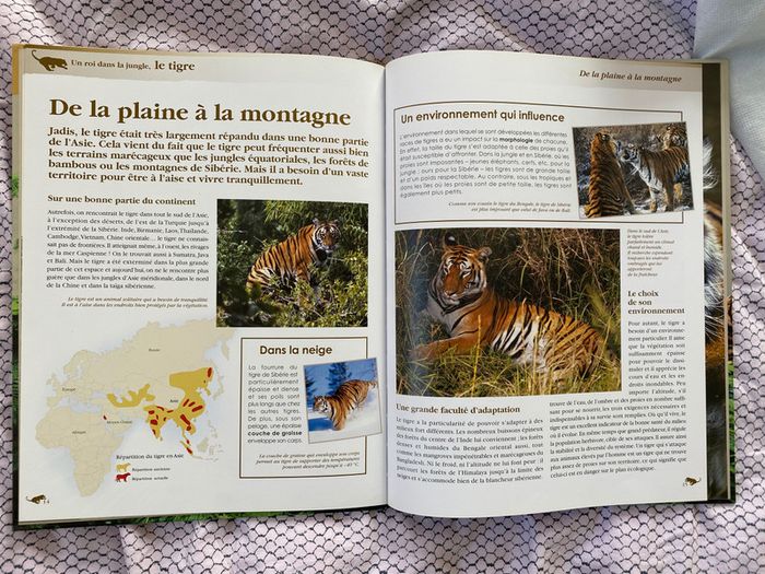 Livre Altlas jeunesse Le tigre - photo numéro 4