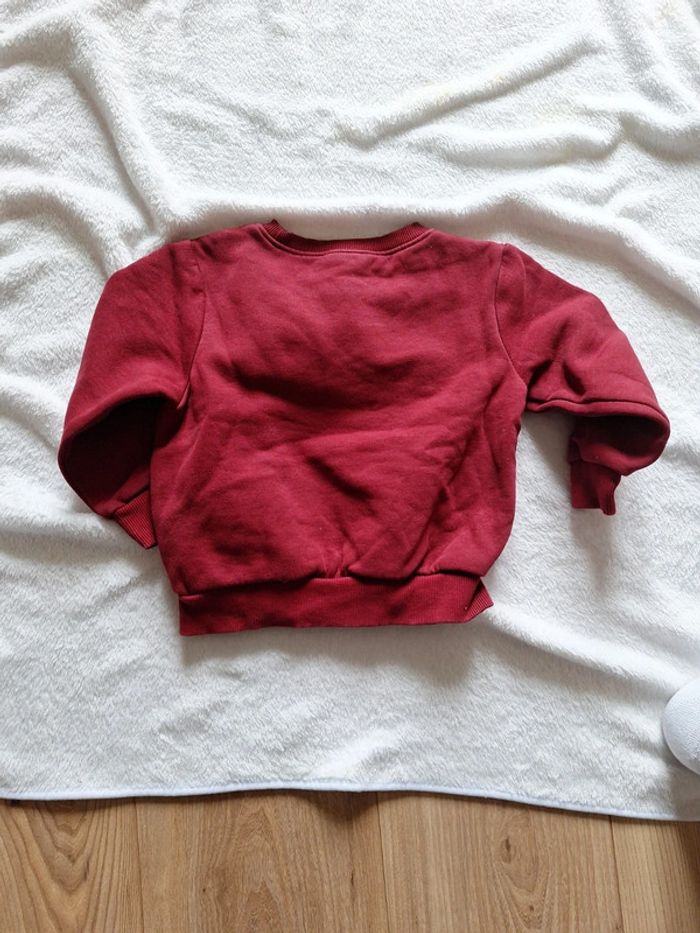 Sweat be curious - photo numéro 3