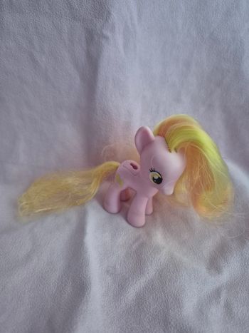 Petit poney