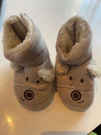 Chausson ours