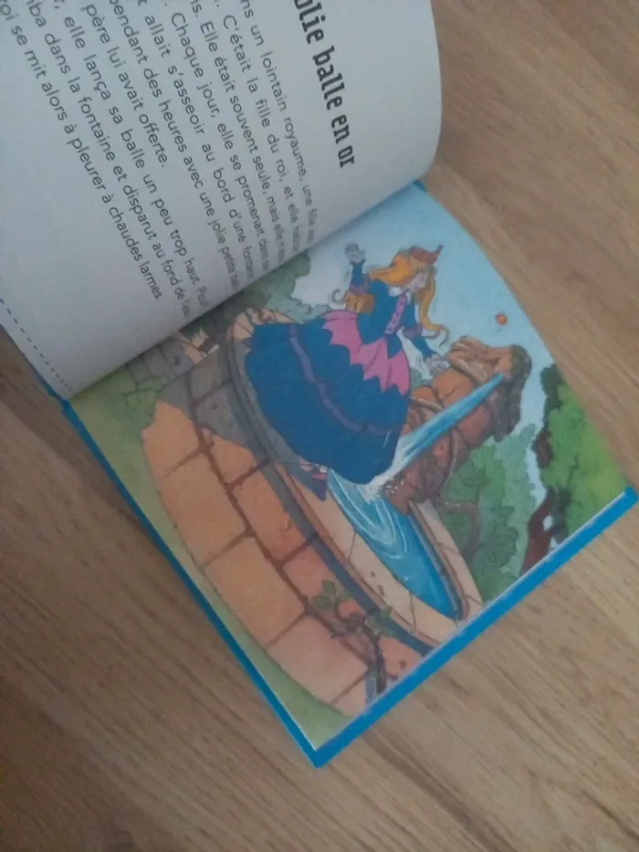 La princesse et la grenouille - photo numéro 3