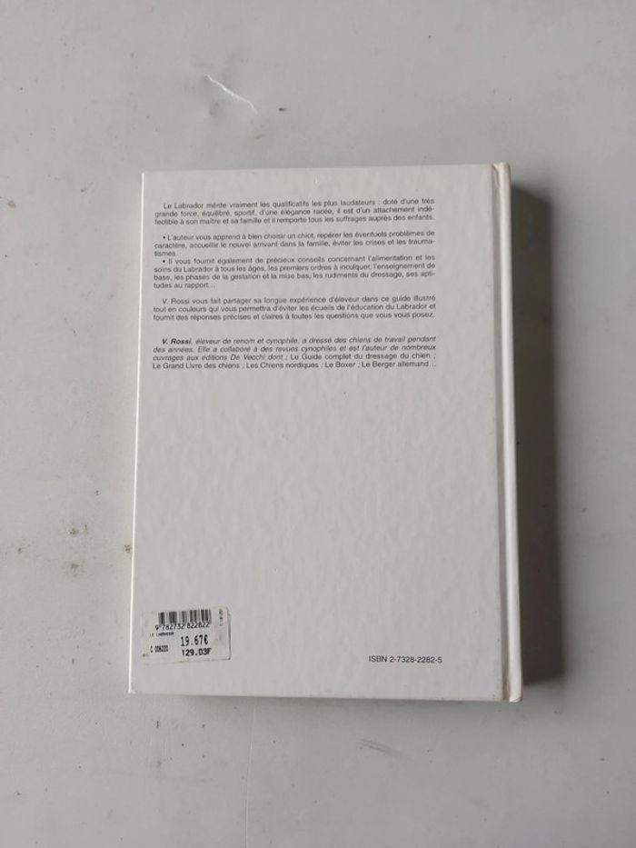 Le Labrador - photo numéro 2