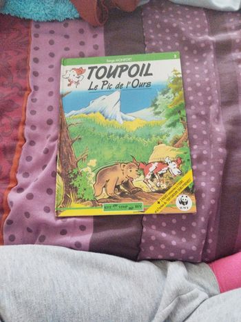 Toupoil le pic de l'ours