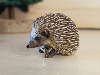 Schleich hérisson Figurine Animal de la forêt