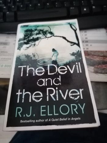 the devil and the river rj ellory