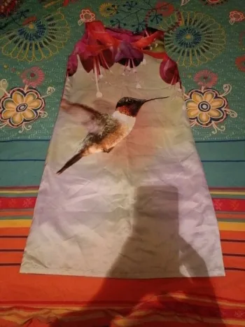 Robe satinée oiseau colibri in extenso 12 ans