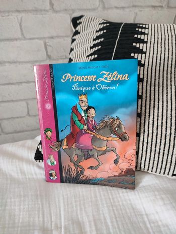 Livre lecture Princesse Zelina