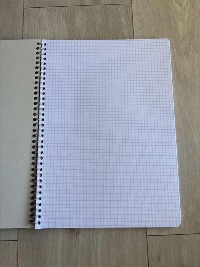 Grand cahier Conquerant - photo numéro 2