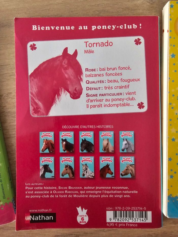 Livre chiots, chatons magiques / poney club enfant - photo numéro 7