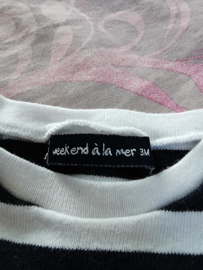 Combishort - photo numéro 3