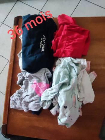Lot Vêtements 36 mois fille