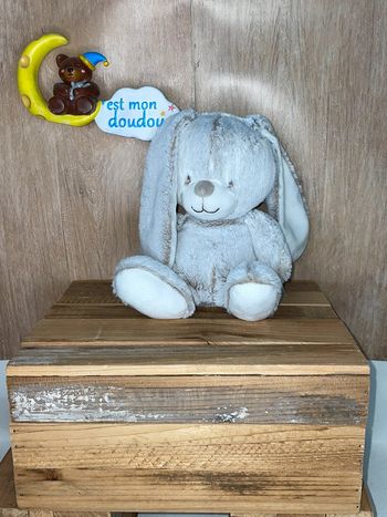 TEX68 doudou lapin 🐰 tex