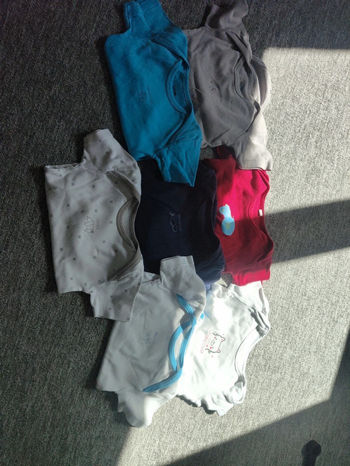 Lot bodies manches courtes