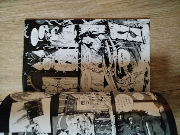 The French Crow - photo numéro 5