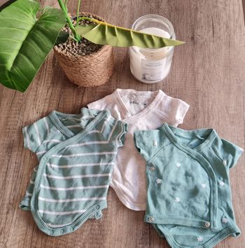 Lot de 3 bodies manche courtes