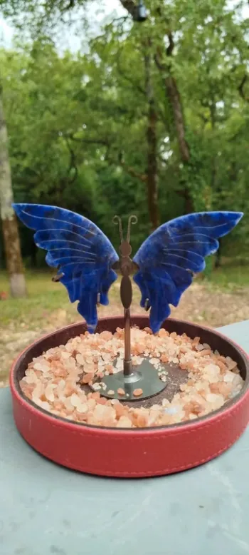 🦋 Papillon Bleu en Sodalite 💫Harmonie Cristalline