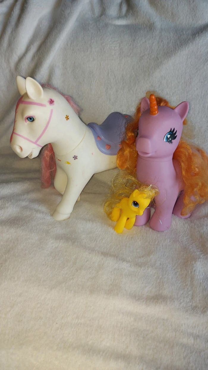 Lot Poney