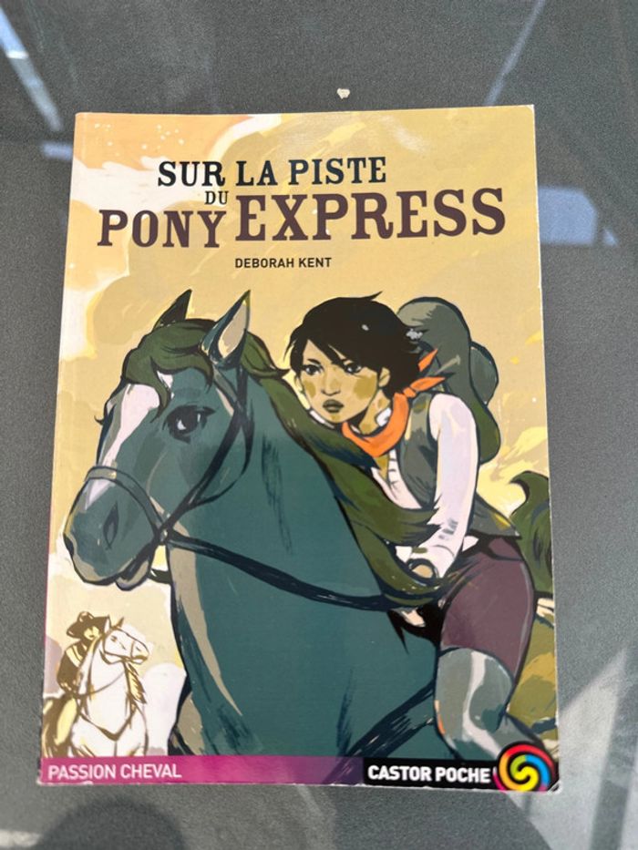 Sur la piste du pont express livre