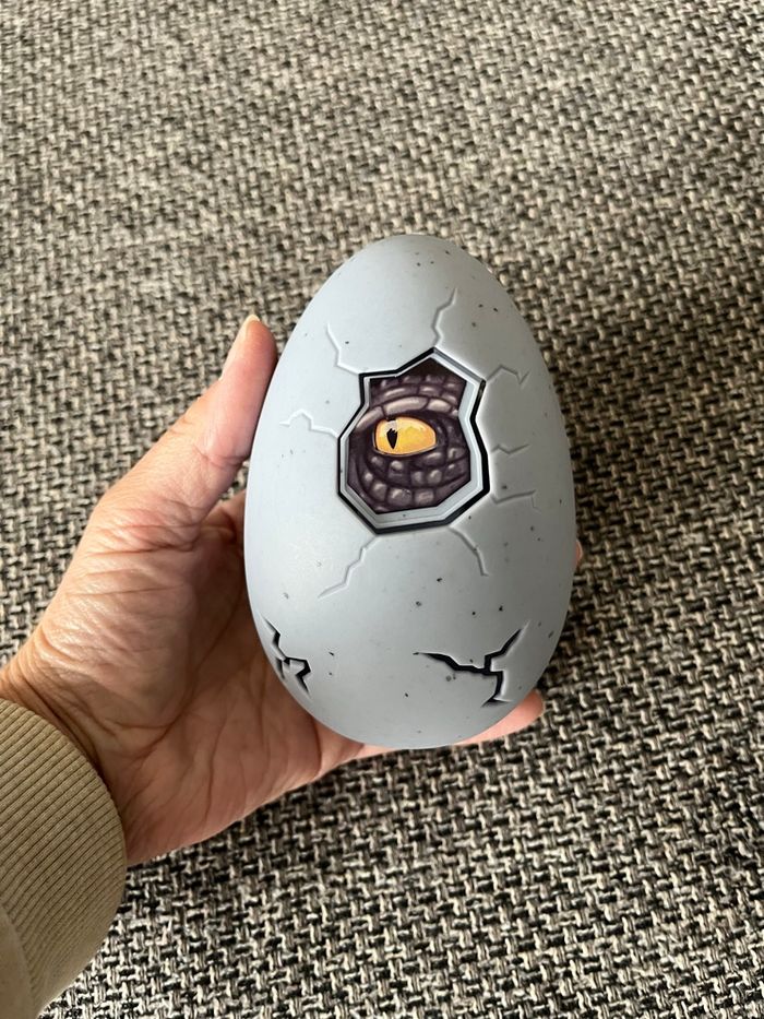 Œuf vide dinosaure
