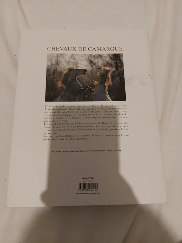 Chevaux camargues - photo numéro 2