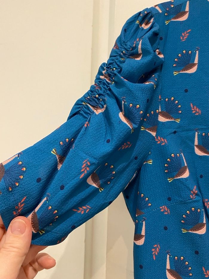 Robe Paon - photo numéro 8