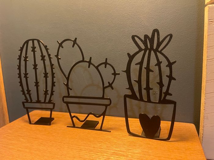 Décoration cactus - photo numéro 5